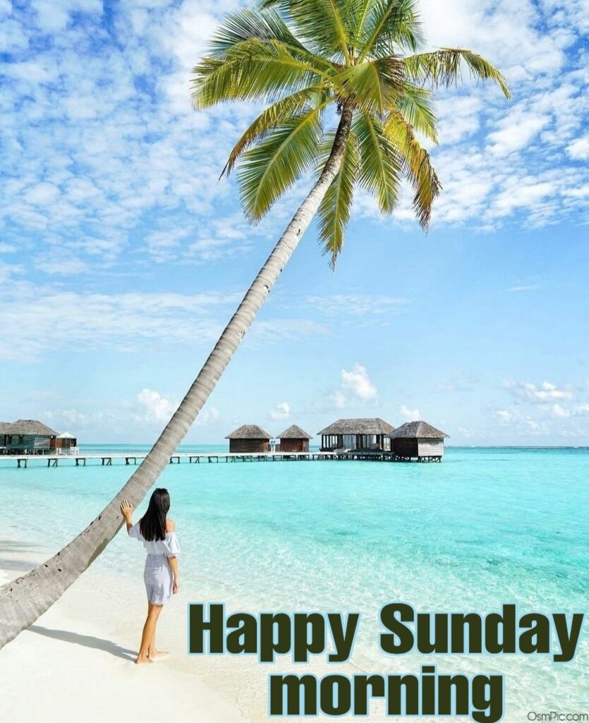 Top 55 Good Morning Happy Sunday Images Hd Pictures For ...