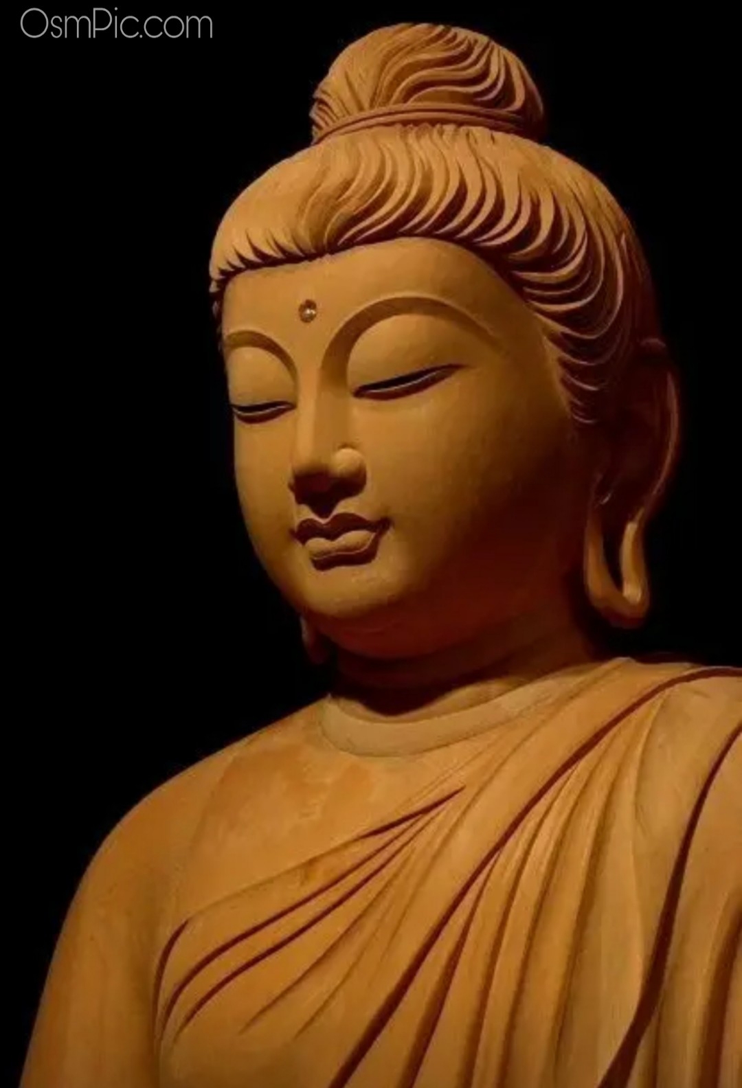Top 50 Gautam Buddha Images Quotes Photos HD Wallpapers ...
