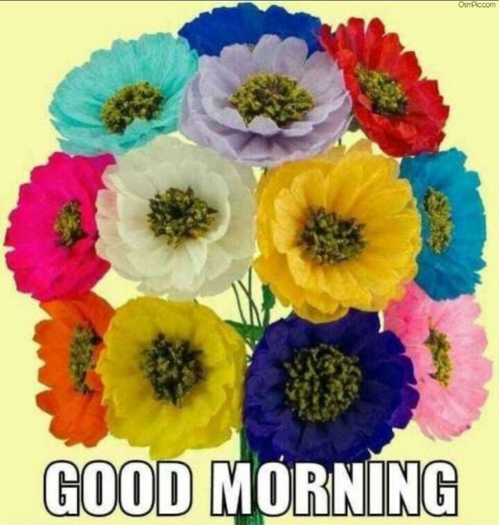 Good morning flowers Photo