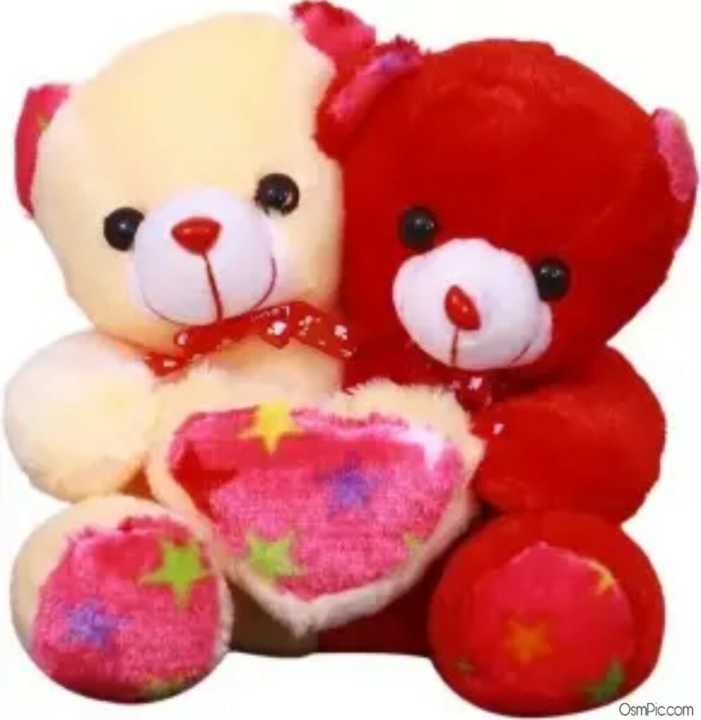 Teddy Bear Couple Pic