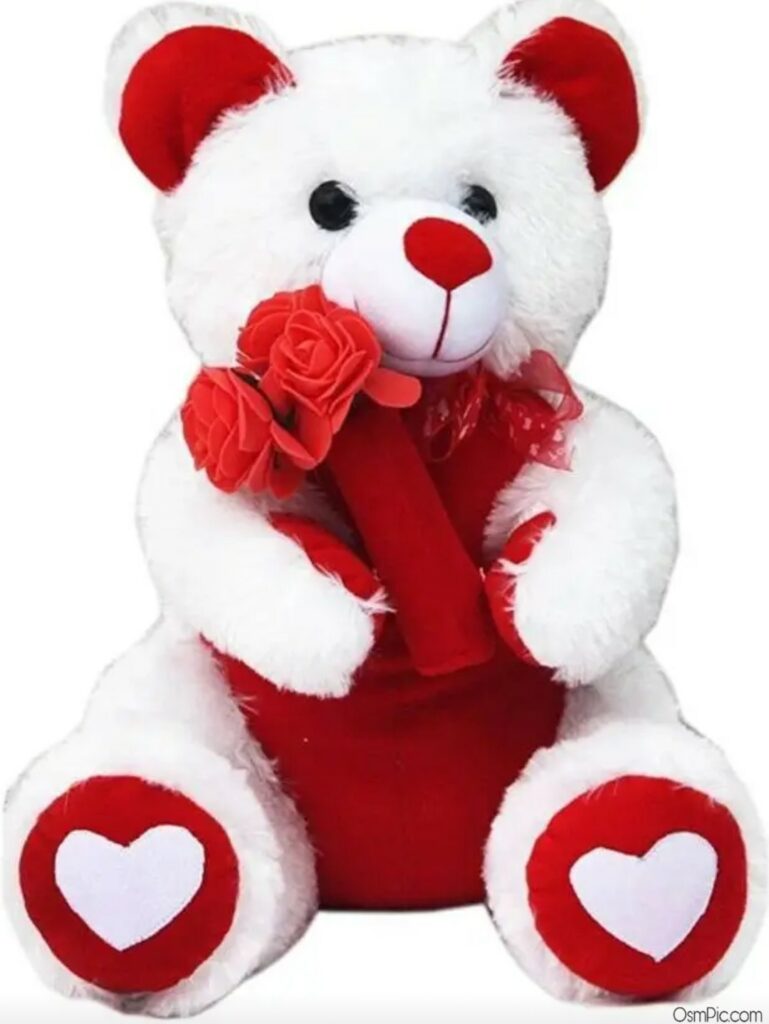 Beautiful Teddy Bear Images With Love For Whatsapp Dp 