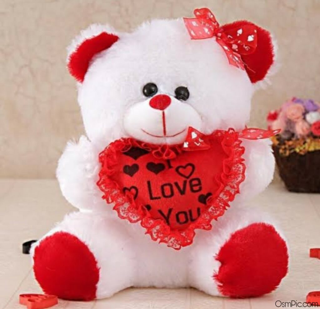 Teddy Bear with love 