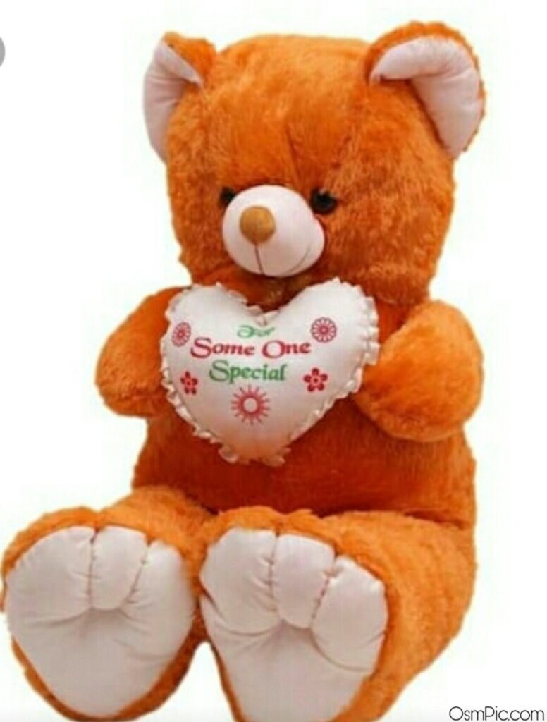 Sweet teddy bear image for whatsapp dp