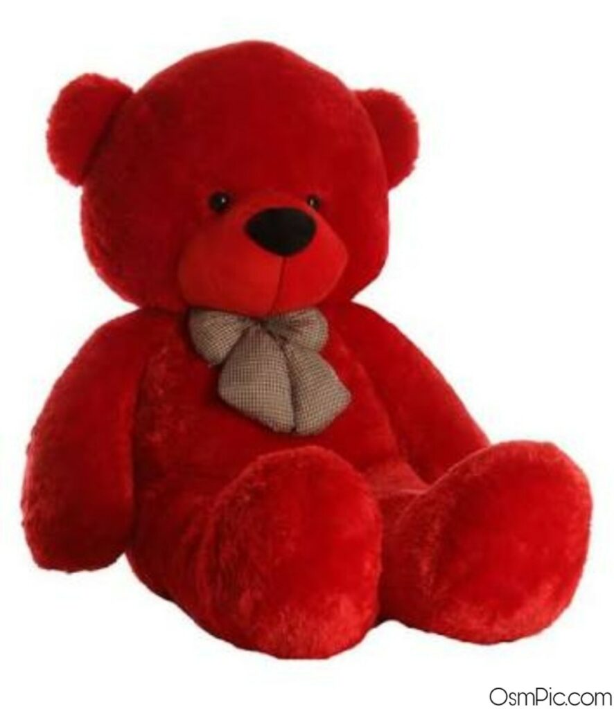Red teddy bear for Whatsapp dp 