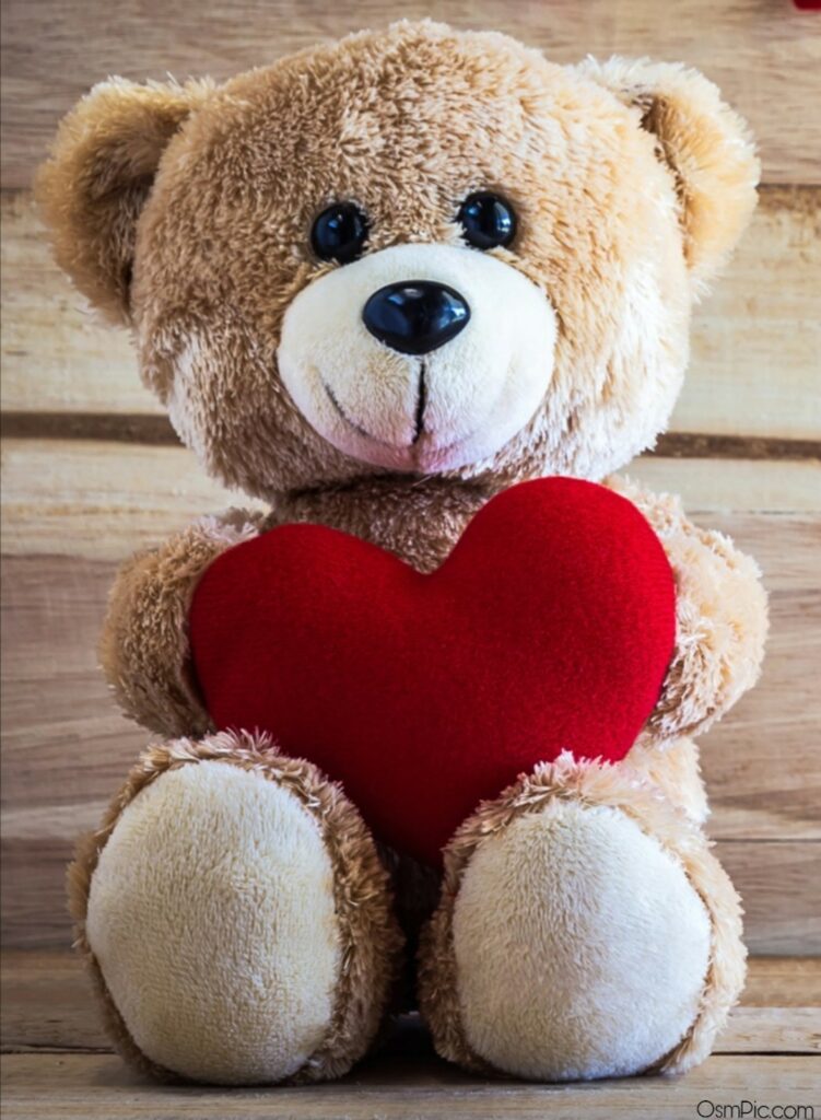 Cute Teddy Bear Images With Love For Whatsapp Dp