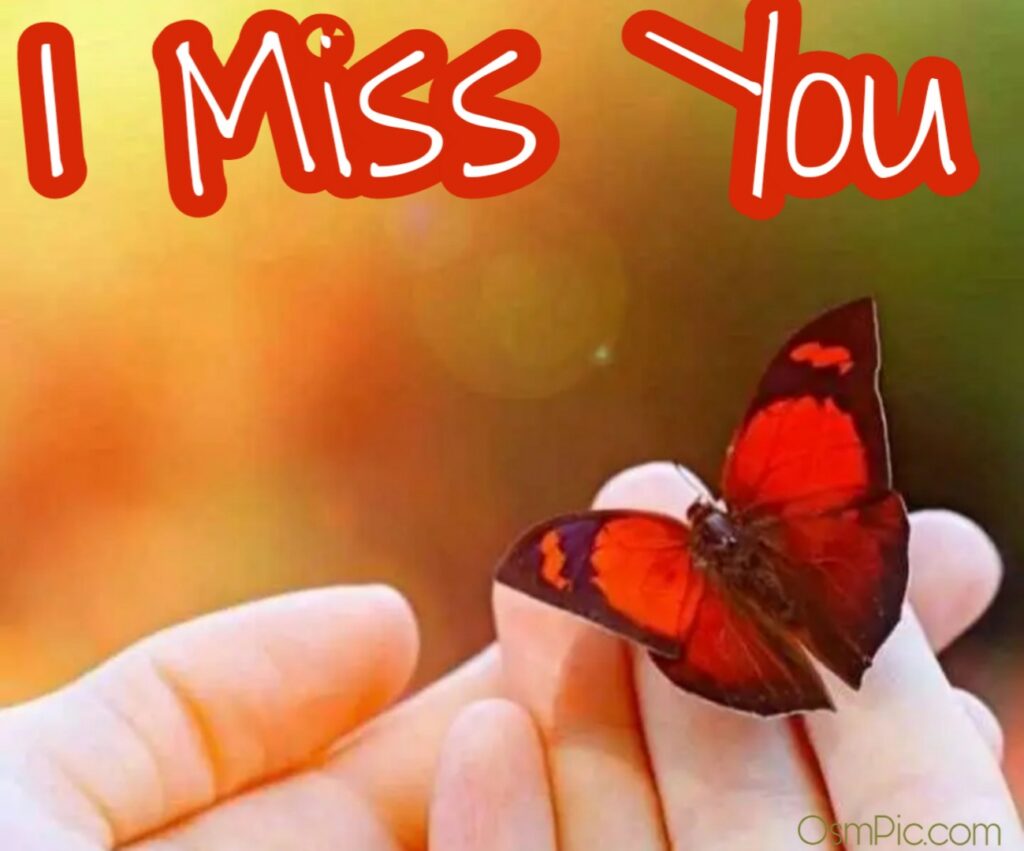 I miss you Wallpaper Free Download 