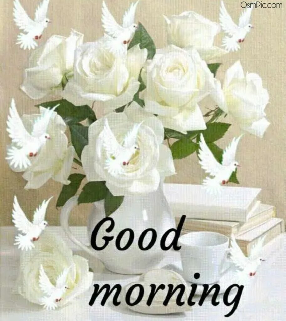 Good morning white Roses 