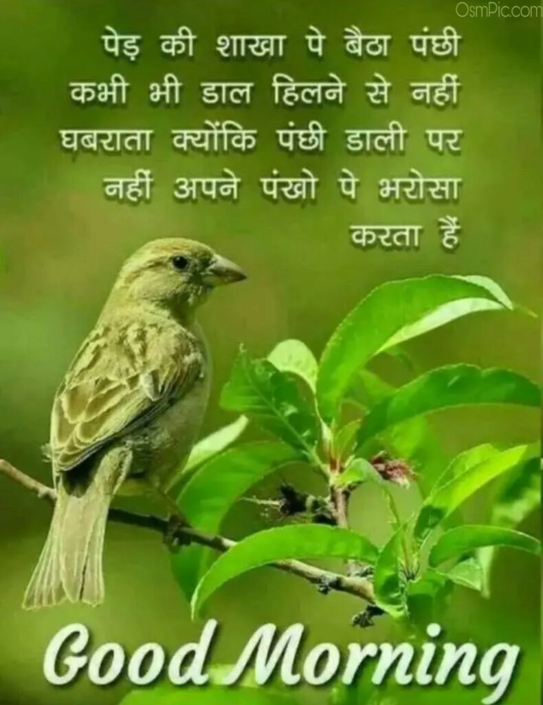 Good Morning Inspirational Quotes With Images In Hindi 