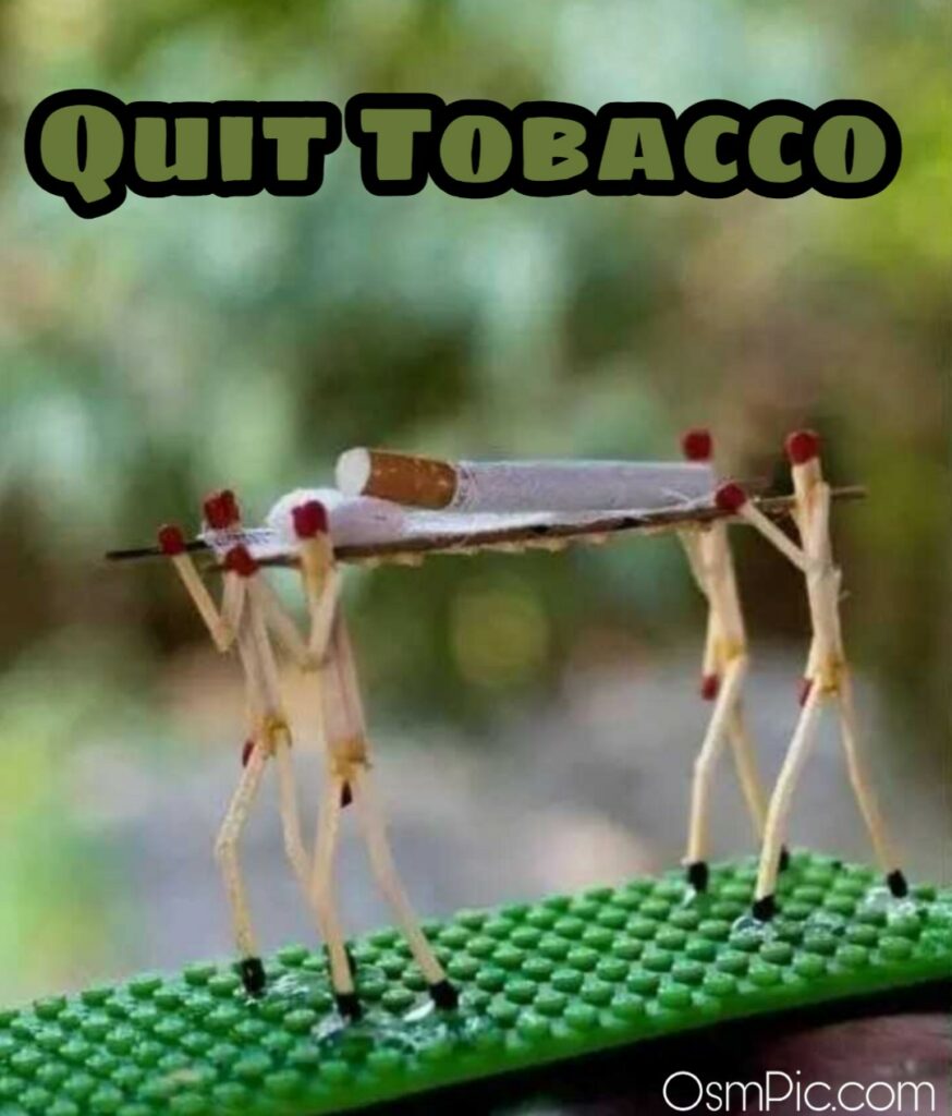 Quit Tobacco status 