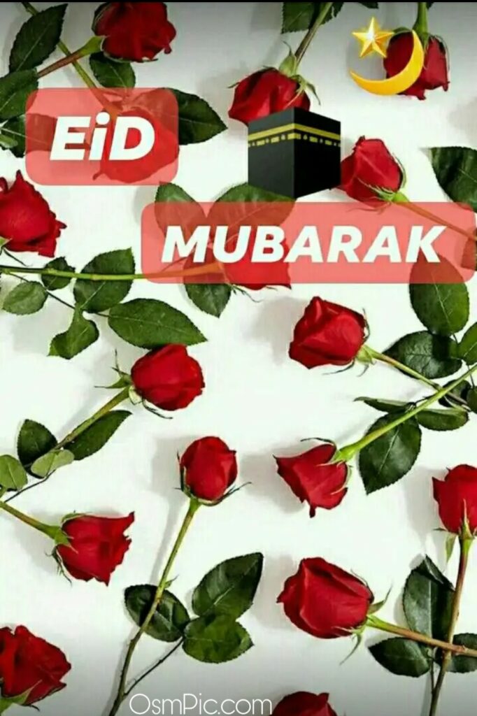 Eid Mubarak Rose Pic photo Wallpaper Download for Eid 