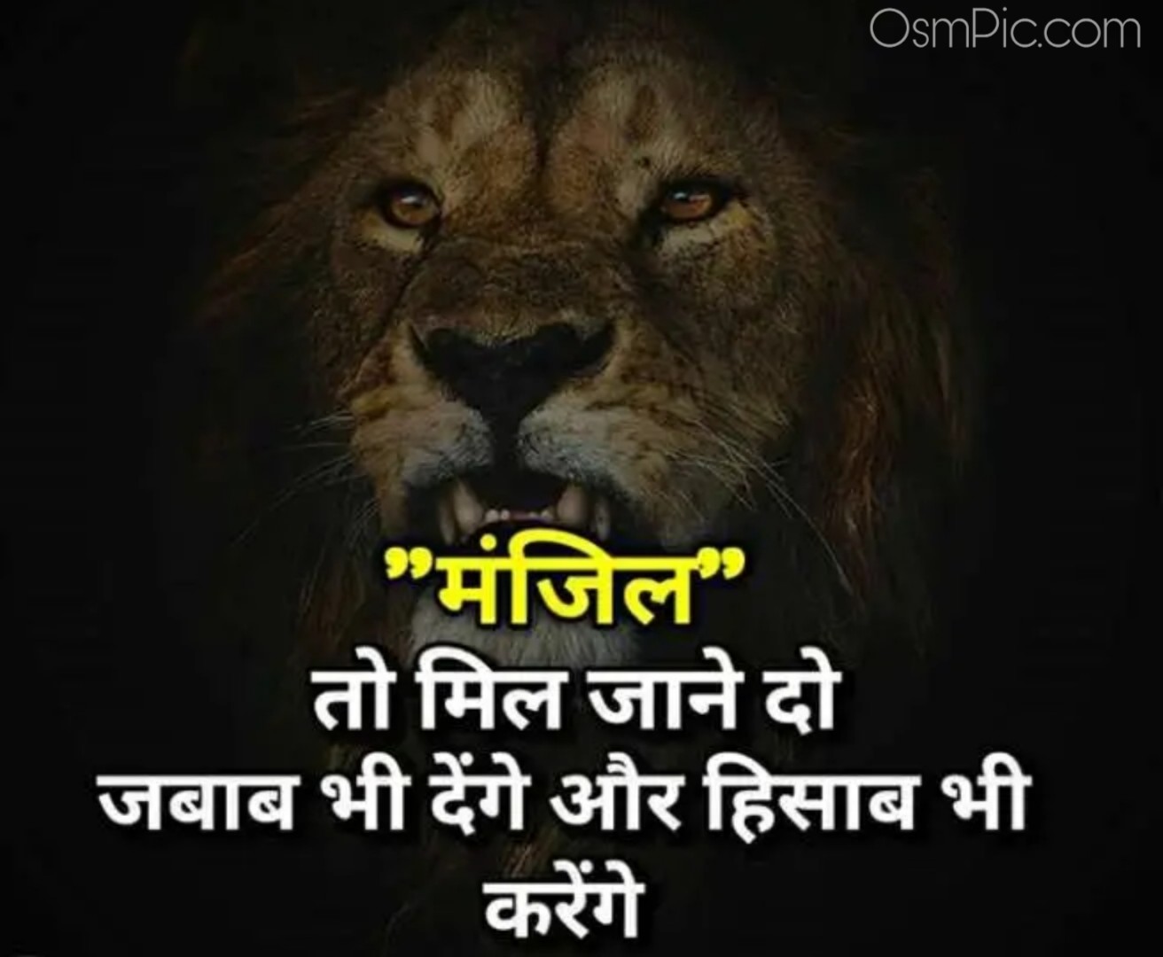 New 2019 Hindi Royal Attitude Status Images Quotes Dp For Boys Nd ...