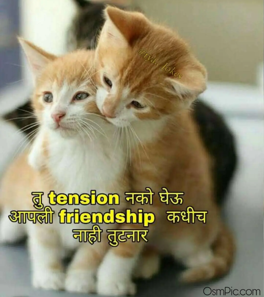 Friendship quotes in marathi for facebook