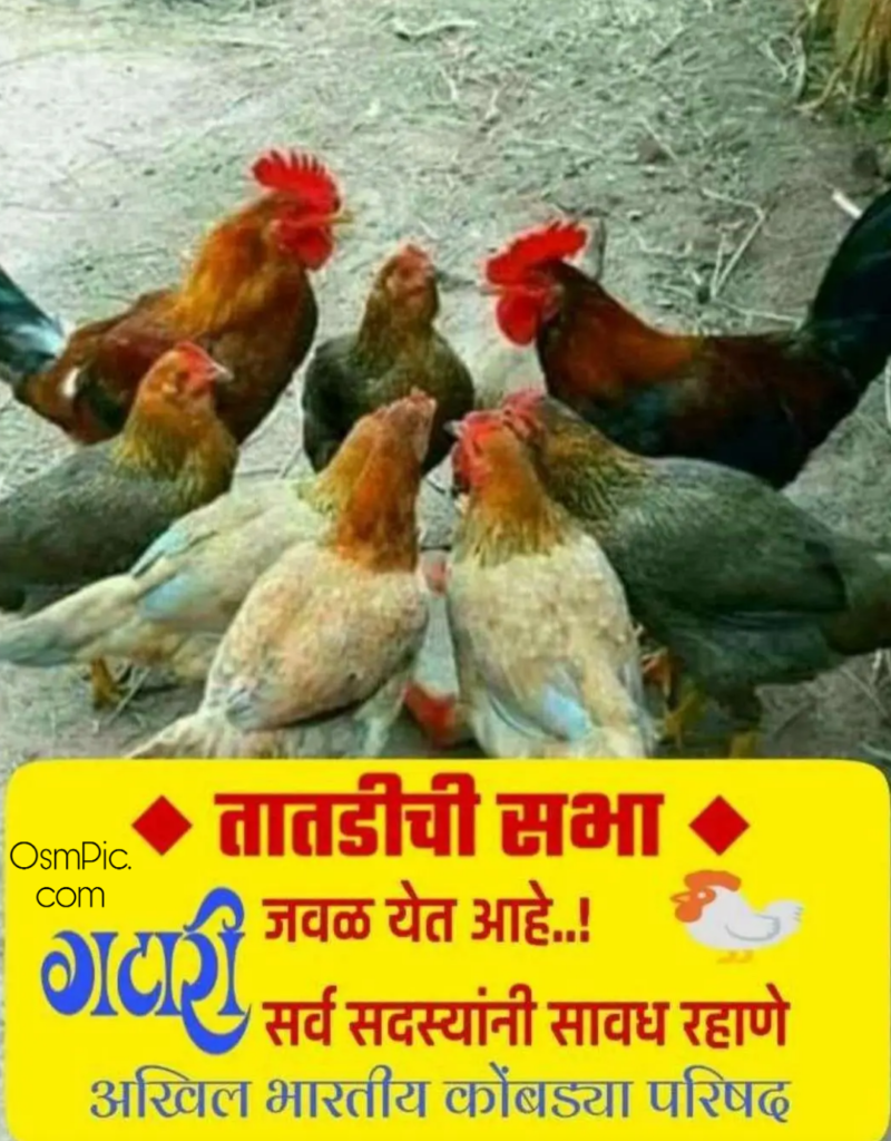 Funny Gatari Festival Images For WhatsApp