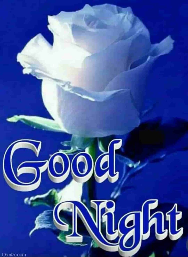 Latest Good Night Rose Pic For Whatsapp Dp 