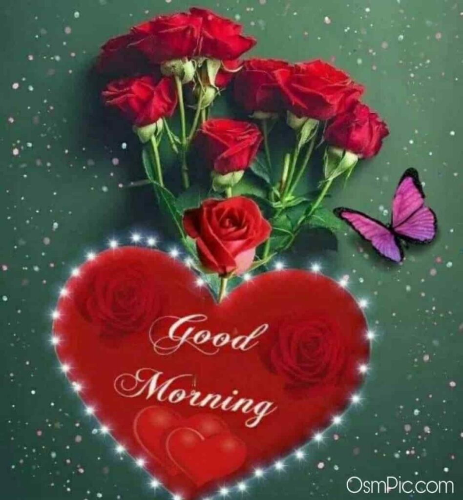 Good morning romantic rose love
