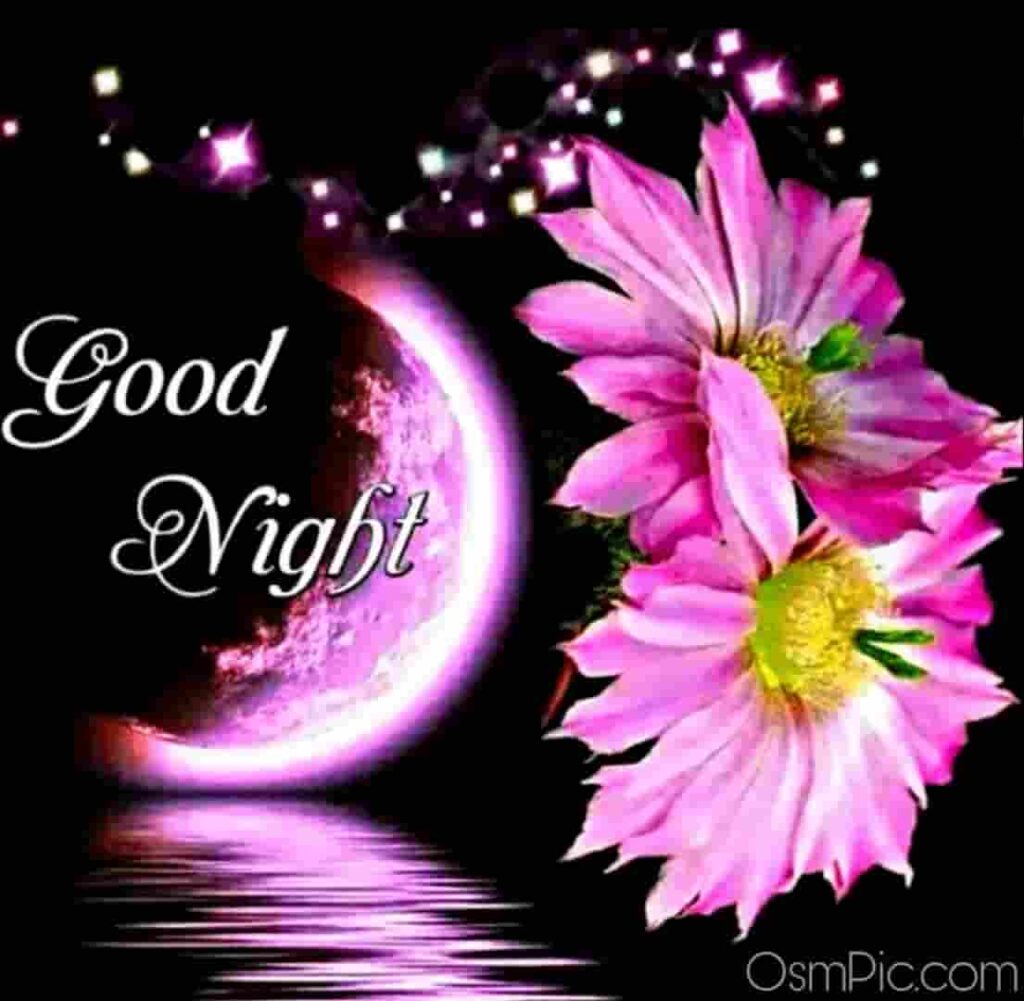 New Good Night Images Whatsapp Pictures Free Download Hd Gn Pics