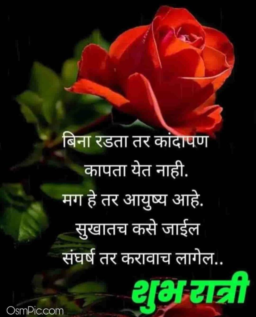 Good Night Images with Quotes In Marathi With Flowers 