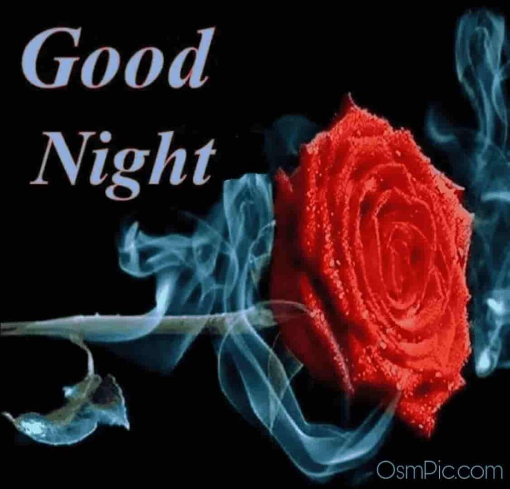 Beautiful good night images with rose 
