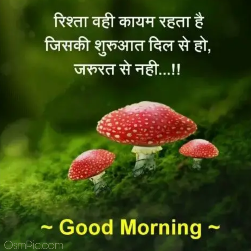Hindi good morning pic download