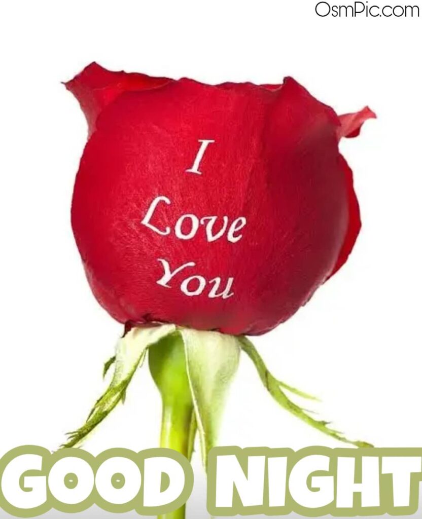 I love you rose image good night