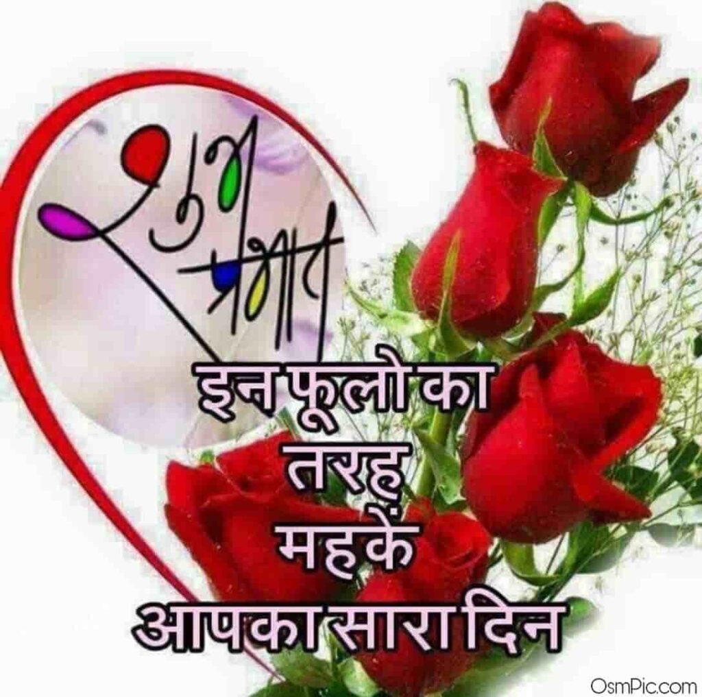 good morning rose flowers image in hindi